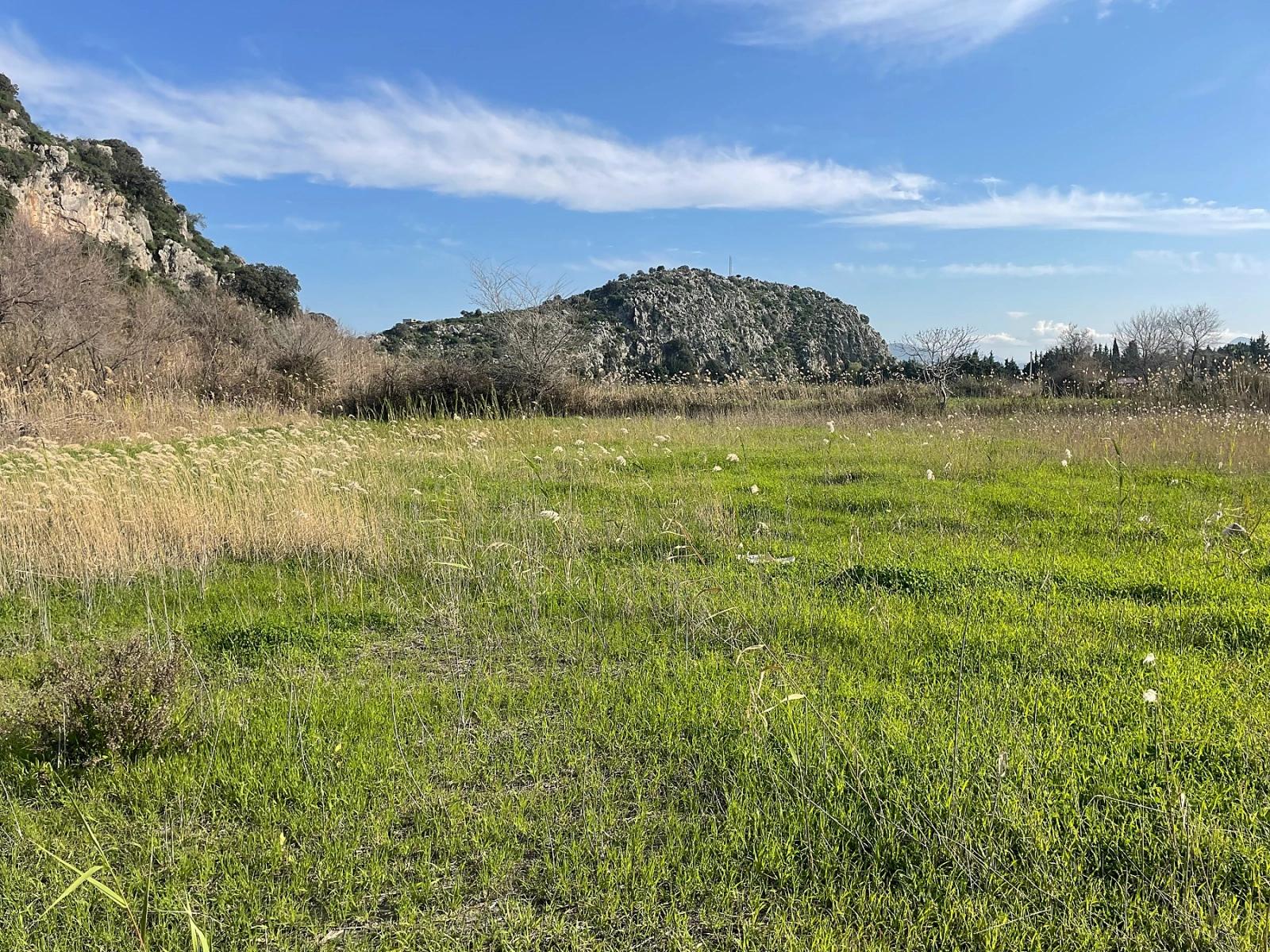 6800 M² Großes Grundstück In Dalyan Zu Verkaufen, 5% Wohnbebauungszone.