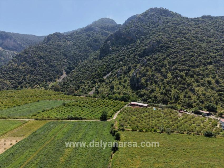 5100 M² Großes Grundstück In Der Nähe Des Stadtzentrums Von Dalyan Zu Verkaufen.