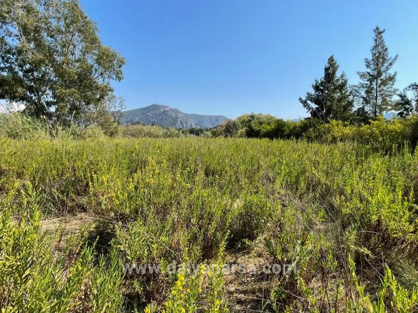 Freistehendes Haus (2765 M²) In Çandır, Direkt Am Kanal, Zu Verkaufen.