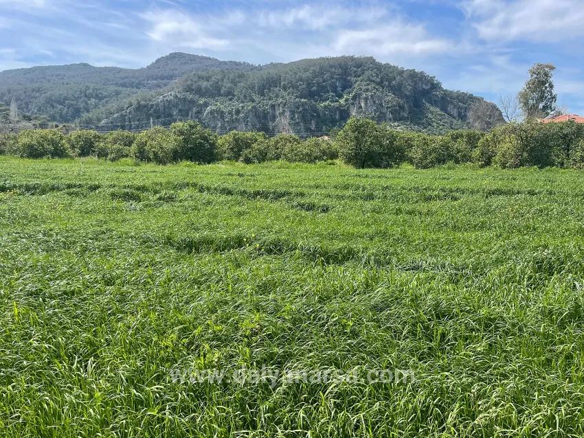Land Zu verkaufen in Okçular Bz. Ortaca - Gehäuse-Zonierung - 736 m²