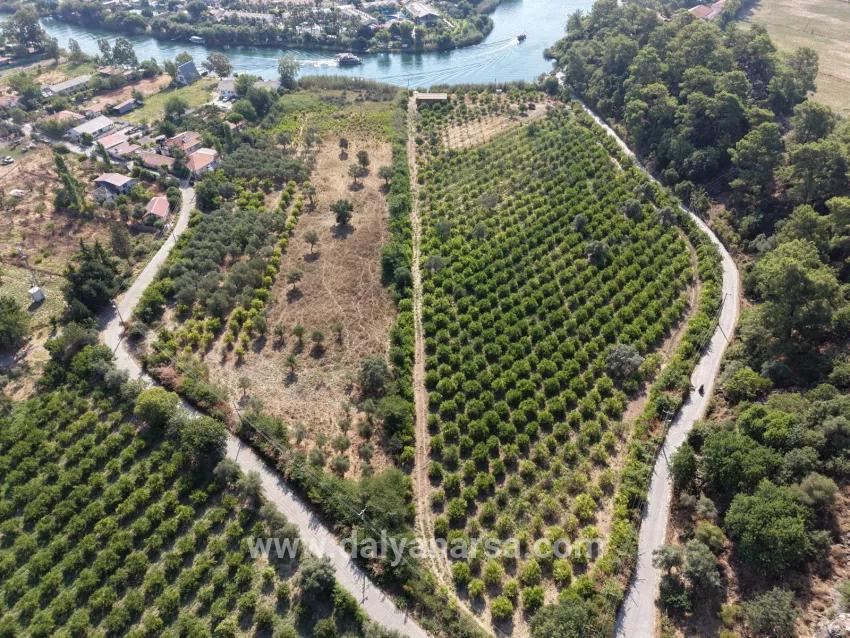 Im Köyceğiz Çandır Mahallesinde kanala sıfır 20.000m2 satılık Feld