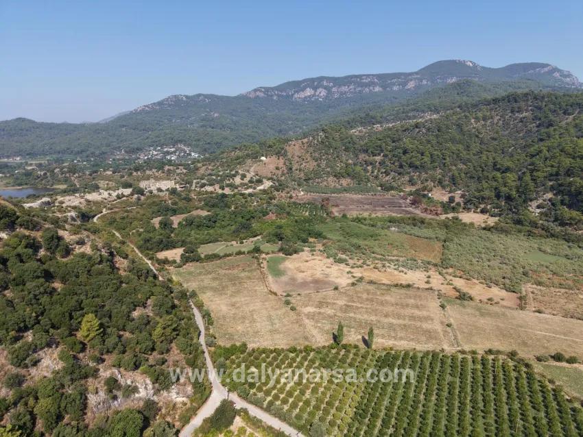 Im Köyceğiz Çandır Mahallesinde kanala sıfır 20.000m2 satılık Feld