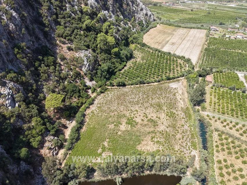 Feld Zu verkaufen in Dalyan Bz. Ortaca - Feld-Zonierung - 20.786 m²