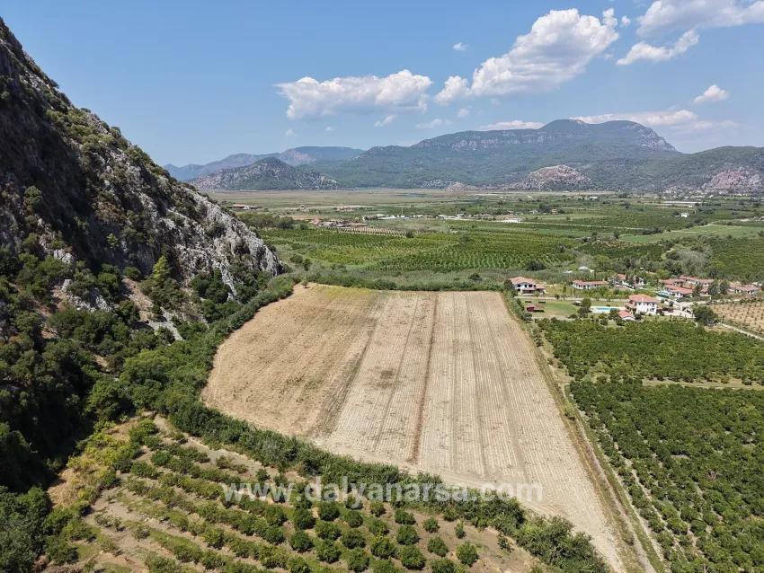 Feld Zu verkaufen in Dalyan Bz. Ortaca - Feld-Zonierung - 20.786 m²