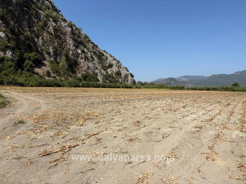 Feld Zu verkaufen in Dalyan Bz. Ortaca - Feld-Zonierung - 20.786 m²