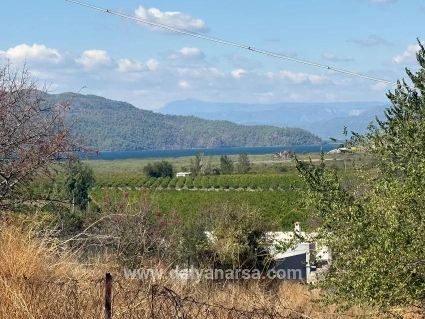 Feld Zu verkaufen in Dalyan Bz. Ortaca - Feld-Zonierung - 5.000 m²