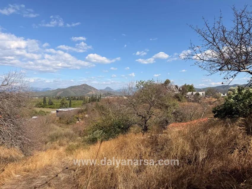 Feld Zu verkaufen in Dalyan Bz. Ortaca - Feld-Zonierung - 5.000 m²