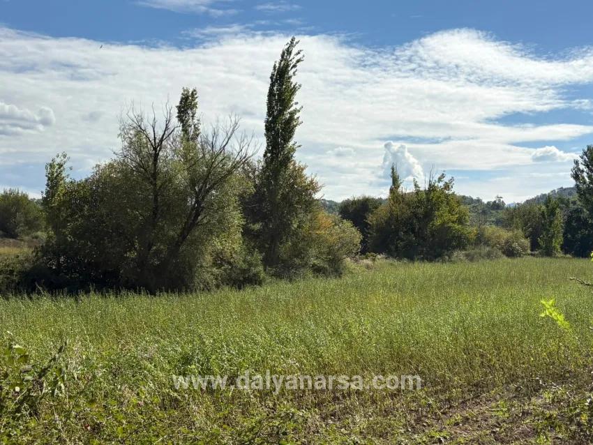 Feld Zu verkaufen in Zeytinalanı Bz. Köyceğiz - Feld-Zonierung - 10.500 m²