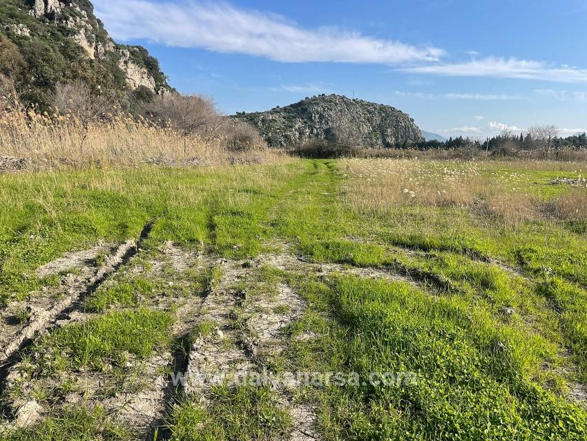 6800 M² Großes Grundstück In Dalyan Zu Verkaufen, 5% Wohnbebauungszone.