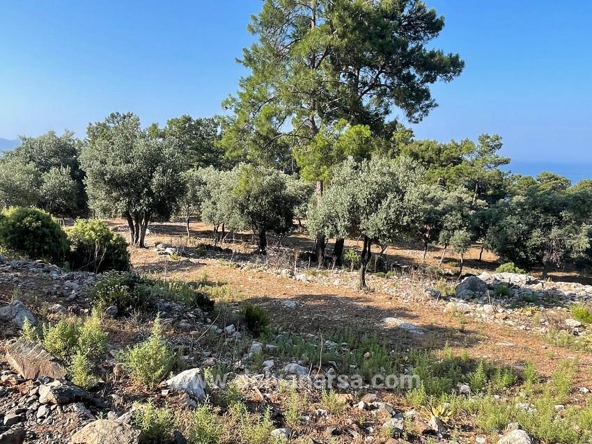 Schnäppchengrundstück Zum Verkauf Mit Meerblick In Der Gegend Von Ekincik-çandır.