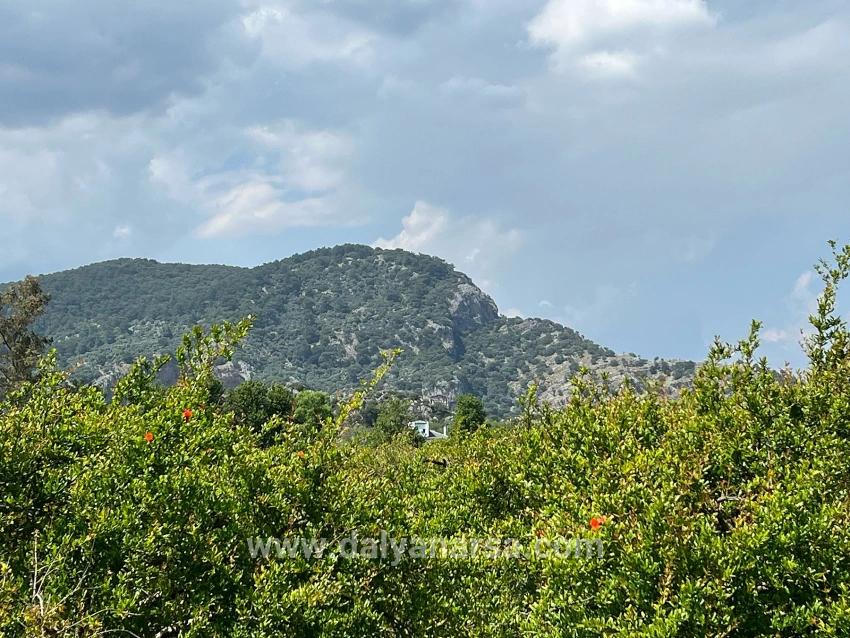 5.100 M² Großes Grundstück In Dalyan, Gebiet Maraş, Zu Verkaufen, Ausgewiesen Für 5% Wohnnutzung.