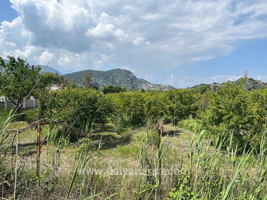 5.100 M² Großes Grundstück In Dalyan, Gebiet Maraş, Zu Verkaufen, Ausgewiesen Für 5% Wohnnutzung.