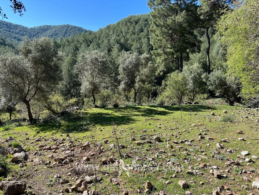 Grundstück Zum Verkauf In Gökbel, Umgeben Von Natur Und Wald.