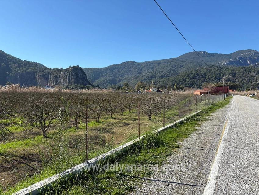 Land Zu verkaufen in Dalyan Bz. Ortaca - Gehäuse-Zonierung - 5.985 m²