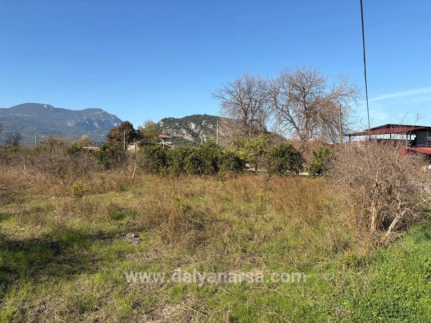 4.541 M² Großer Garten Zum Verkauf In Dalyan.