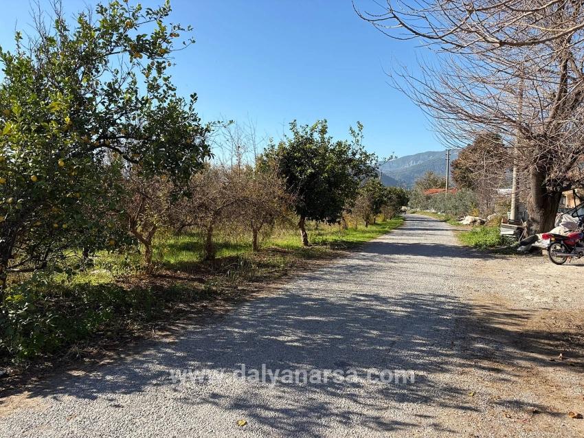 4.541 M² Großer Garten Zum Verkauf In Dalyan.