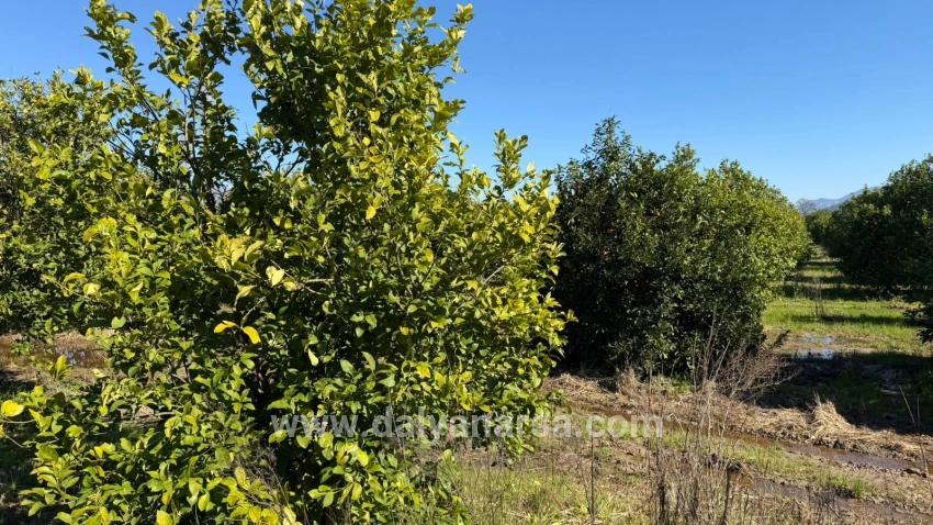 2.218m2 Grundstück Zum Verkauf In Okçular Marmarlı