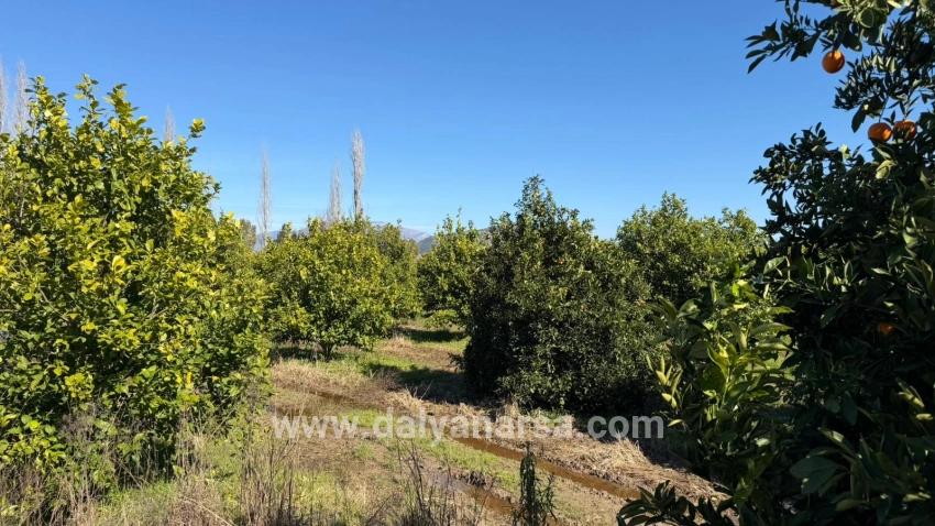 2.218m2 Grundstück Zum Verkauf In Okçular Marmarlı