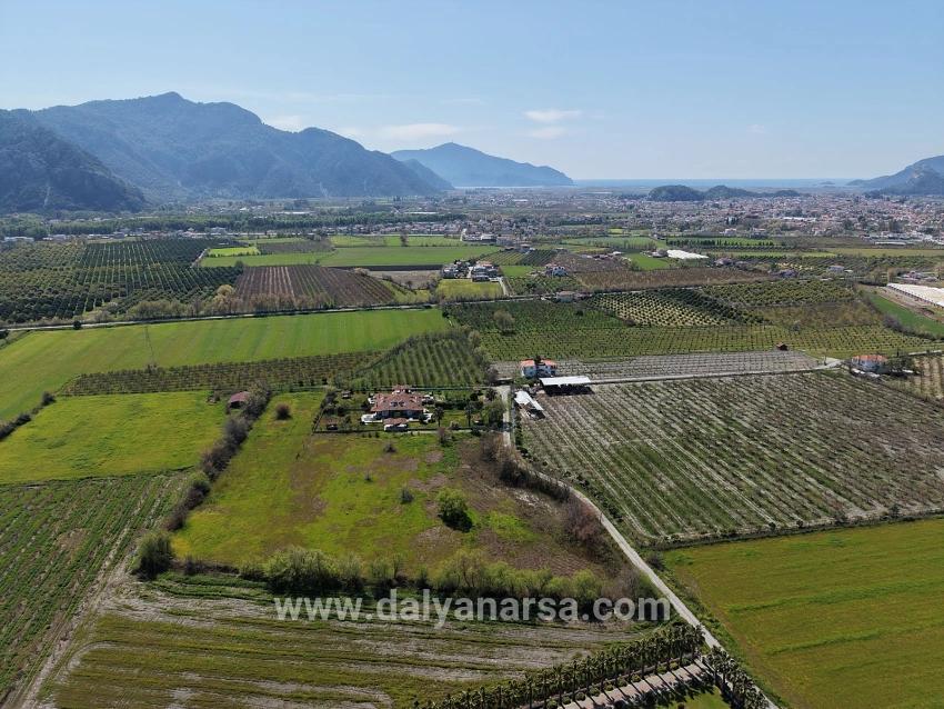 17.550 M2 Weinberg-bahce Zum Verkauf In Der Nähe Des Dalyan Centers