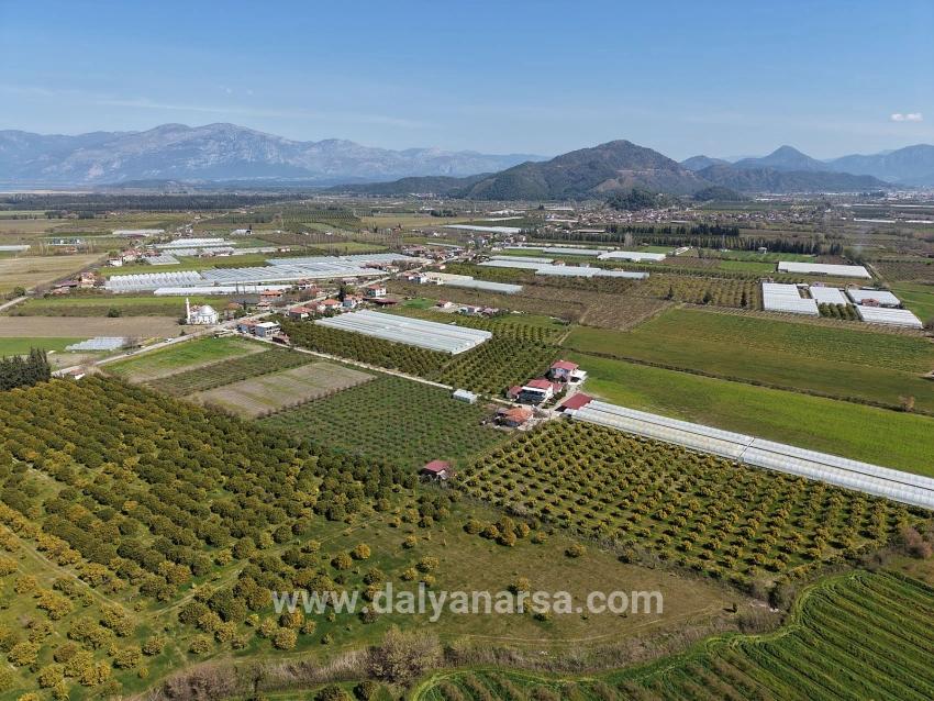 17.550 M2 Weinberg-bahce Zum Verkauf In Der Nähe Des Dalyan Centers