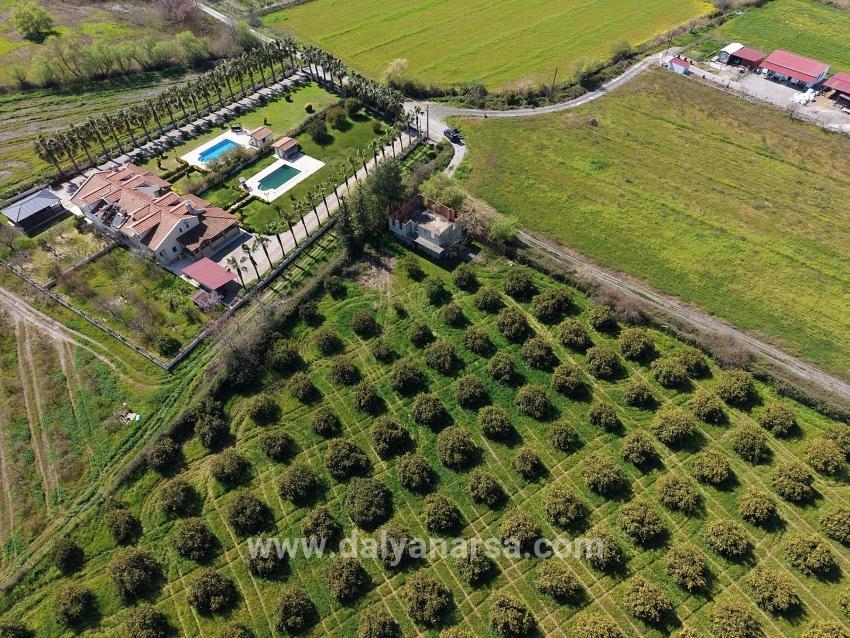 17.550 M2 Weinberg-bahce Zum Verkauf In Der Nähe Des Dalyan Centers