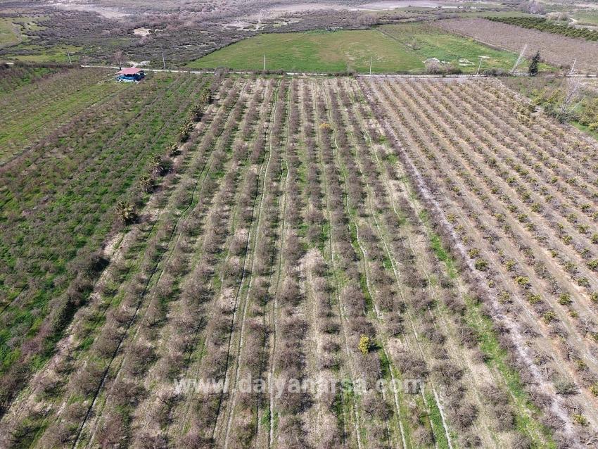 16.710 M² Granatapfelgarten Zum Verkauf Mit Seeblick In Eskiköy