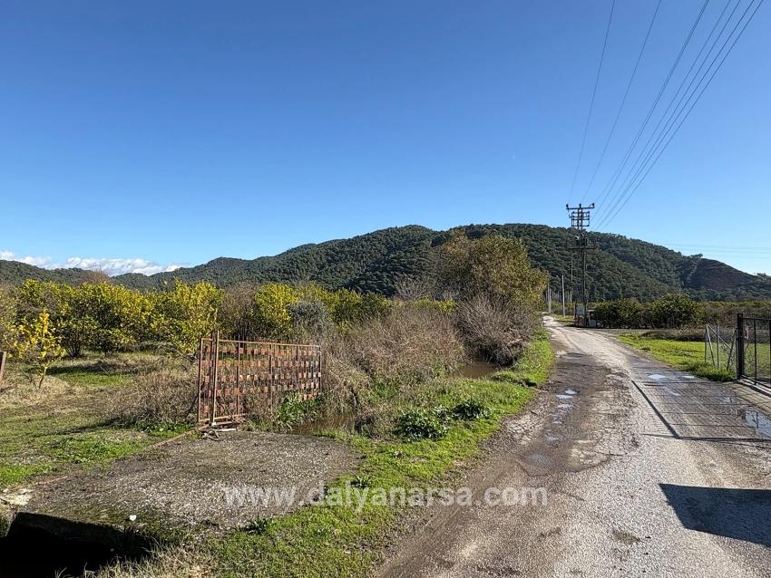 23.000 M² Großes Freistehendes Grundstück In Tepearası Zu Verkaufen.