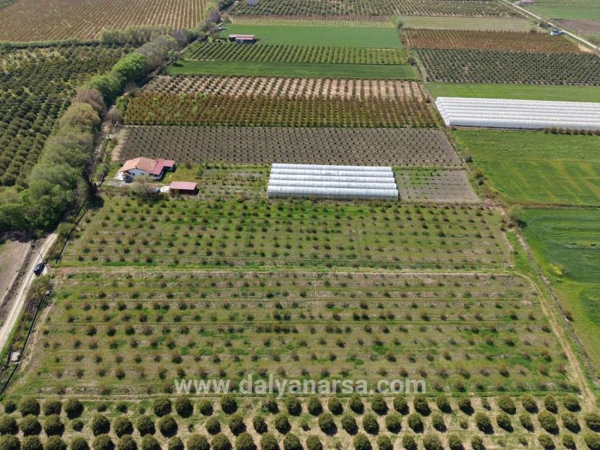 Feld Zu verkaufen in Eskiköy Bz. Ortaca - Feld-Zonierung - 16.000 m²