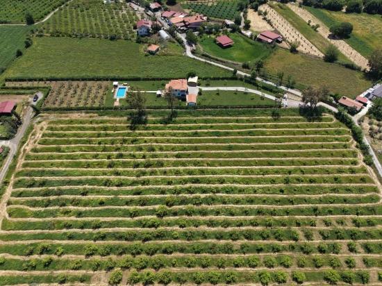 5100 M² Großes Grundstück In Der Nähe Des Stadtzentrums Von Dalyan Zu Verkaufen.