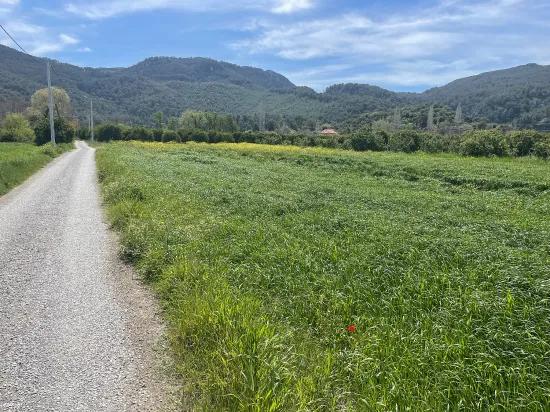 In Okçular Einem 736m2 Großen, 250m2 Großen Bau Genehmigten Verkäuflichen Grundstück