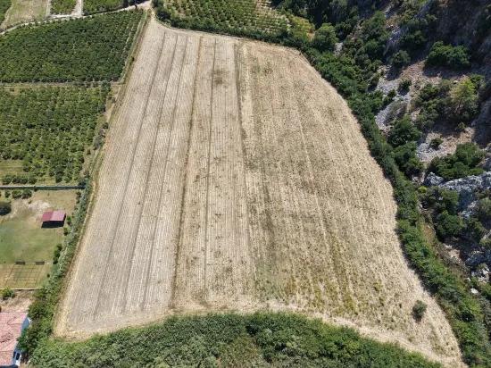 In Dalyan 20.786m2 Verkaufsfeld