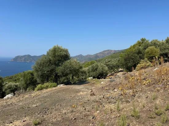 In Çandır mit Meerblick 21.000 m2 zu verkaufen 2b Feld