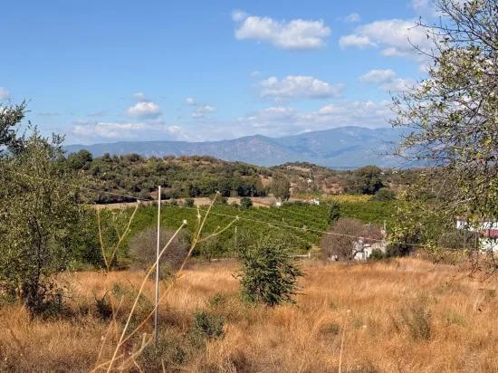 In Dalyan Karadağ Seeblick 5.000m2 zu verkaufen Acker