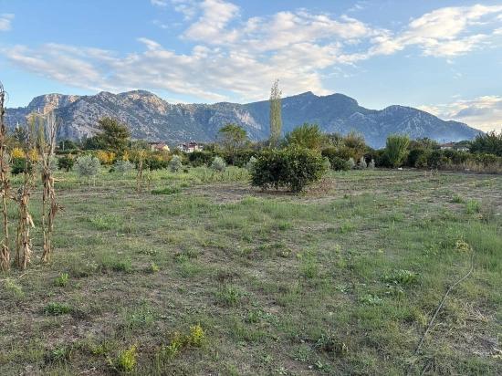 7.450 M² Großes Grundstück In Dalyan Mit 5%iger Zonierung Zu Verkaufen.