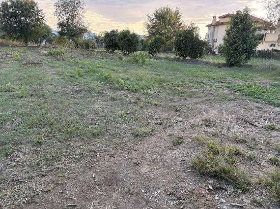 7.450 M² Großes Grundstück In Dalyan Mit 5%iger Zonierung Zu Verkaufen.