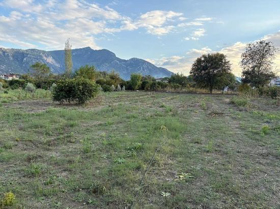 7.450 M² Großes Grundstück In Dalyan Mit 5%iger Zonierung Zu Verkaufen.