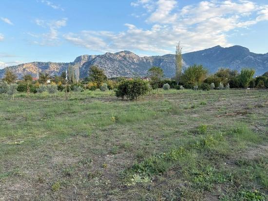 7.450 M² Großes Grundstück In Dalyan Mit 5%iger Zonierung Zu Verkaufen.