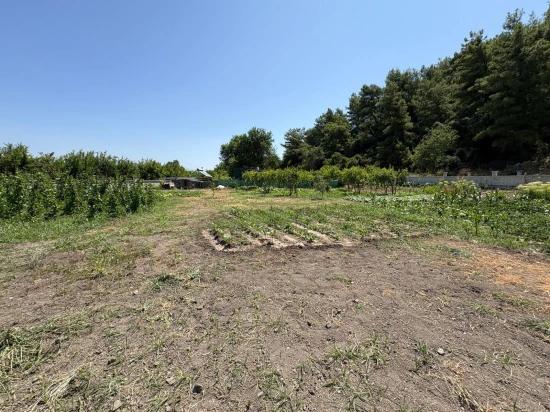 Freistehendes Holzhaus Mit 120 M² Wohnfläche Auf Einem 2500 M² Großen Grundstück In Der Gegend Von Dalyan Karadağ