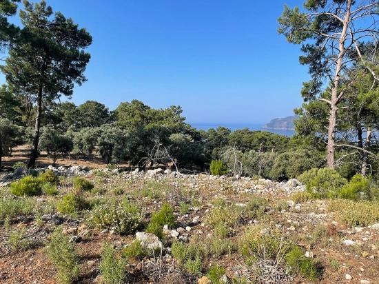 Schnäppchengrundstück Zum Verkauf Mit Meerblick In Der Gegend Von Ekincik-çandır.