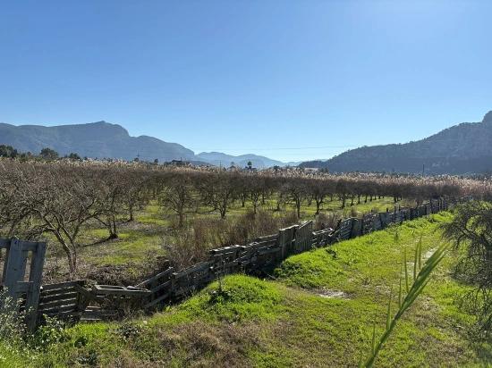 5985 M² Großes Grundstück In Dalyan Zu Verkaufen, Ausgewiesen Für 5 % Weinbau/obstbau.