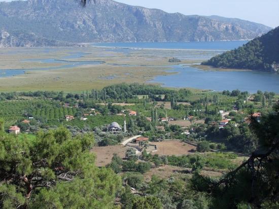 19.334 M² Großes Grundstück Zum Verkauf In Çandır, Köyceğiz.