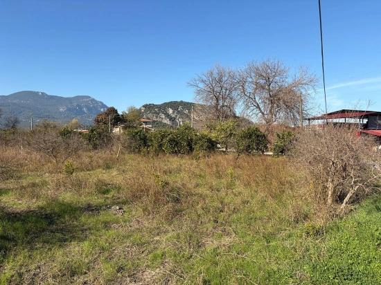 4.541 M² Großer Garten Zum Verkauf In Dalyan.