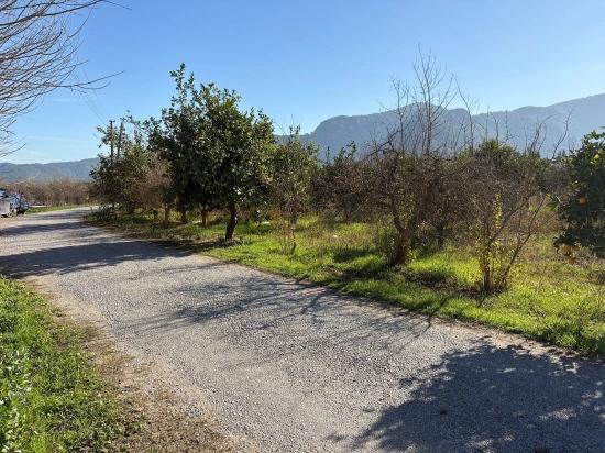 4.541 M² Großer Garten Zum Verkauf In Dalyan.