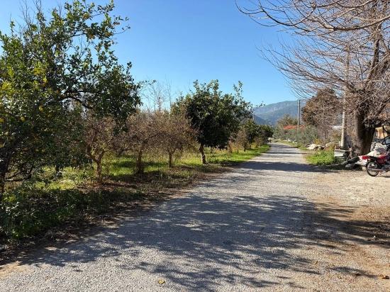 4.541 M² Großer Garten Zum Verkauf In Dalyan.