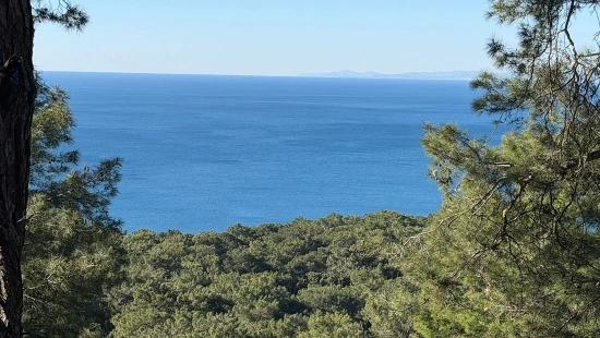 2b-feld Von 5715 M2 Zum Verkauf Mit Vollem Meerblick In Çandır