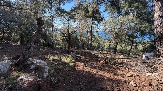2b-feld Von 5715 M2 Zum Verkauf Mit Vollem Meerblick In Çandır