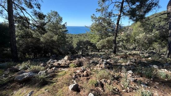 2b-feld Von 5715 M2 Zum Verkauf Mit Vollem Meerblick In Çandır