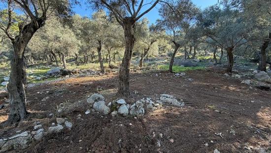 2b-feld Von 5715 M2 Zum Verkauf Mit Vollem Meerblick In Çandır