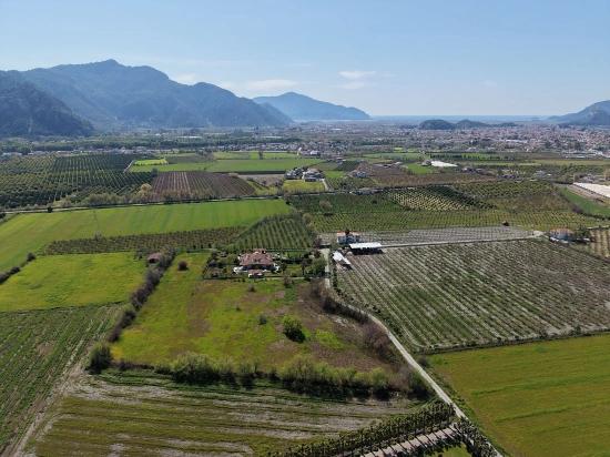 17.550 M2 Weinberg-bahce Zum Verkauf In Der Nähe Des Dalyan Centers