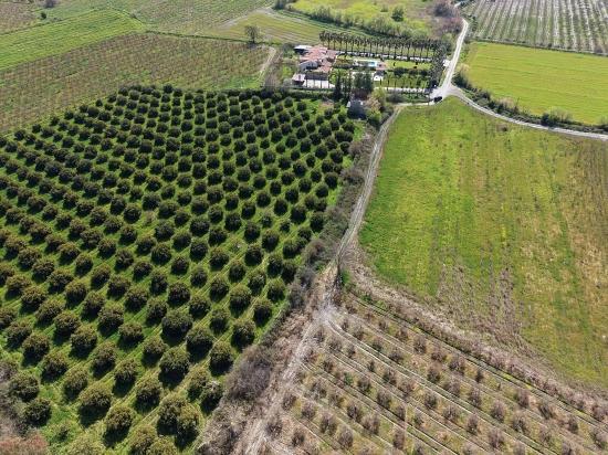 17.550 M2 Weinberg-bahce Zum Verkauf In Der Nähe Des Dalyan Centers